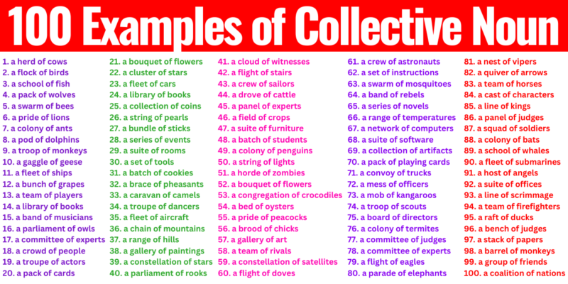 100 Examples of Collective Noun